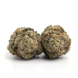 Purple Ghost cannabis strain