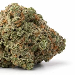 Purple Mr. Nice cannabis strain