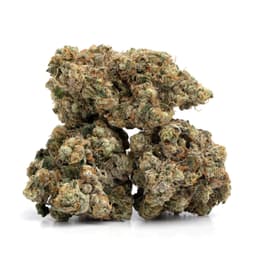 Purple Snow cannabis strain