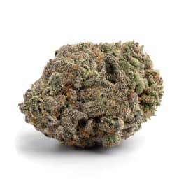 Purple Thai cannabis strain