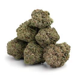 Rainbow Kush cannabis strain