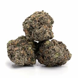 Raw OG cannabis strain