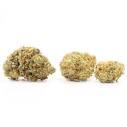 Red Eye OG cannabis strain