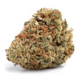 Reina Haze cannabis strain