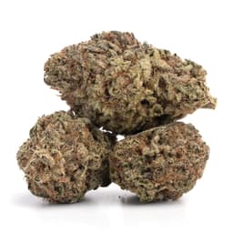 Rominberry cannabis strain
