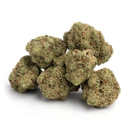 Royal Budline OG cannabis strain