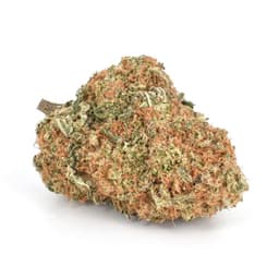 Royal Haze cannabis strain