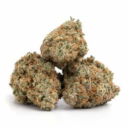 Sage Kush cannabis strain