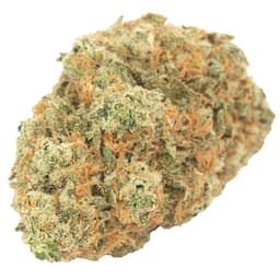 Salsa Verde OG cannabis strain