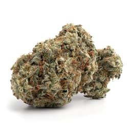 Satellite OG cannabis strain