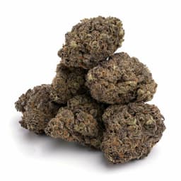 Shortbread Cookies cannabis strain