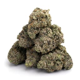 Skunky Diesel cannabis strain