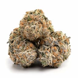 Sky Fuel OG cannabis strain