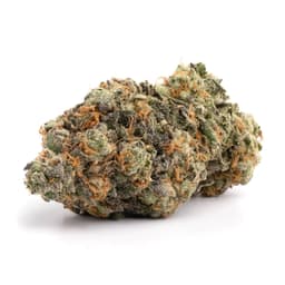 Sonoma Kush cannabis strain