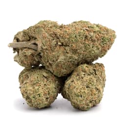 Sour Diesel OG cannabis strain