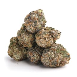Sour OG Affie cannabis strain