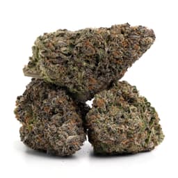 Sour Peach cannabis strain