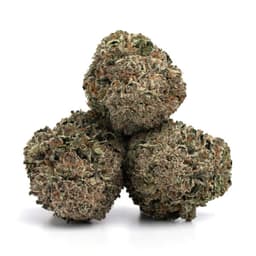 Stoney OG cannabis strain