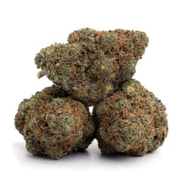 Strawberry Blue cannabis strain