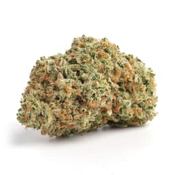 Strawberry Icy cannabis strain