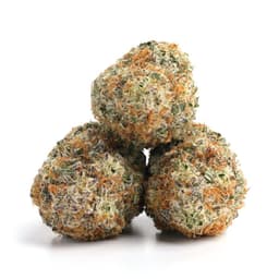 Super Jack cannabis strain