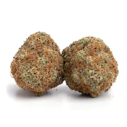 Super Razz OG cannabis strain