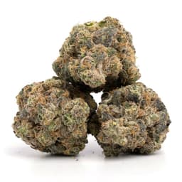 Super Sorbet cannabis strain