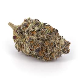 Tigers Milk cannabis strain