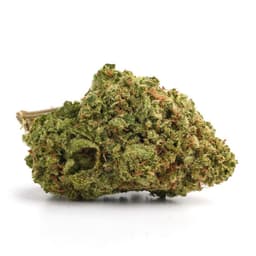 Supermax OG cannabis strain
