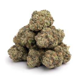 Sweet Kush cannabis strain