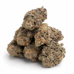 Sweet Pink Grapefruit cannabis strain