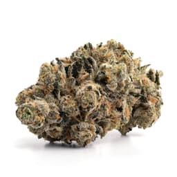 Sweet Purple D cannabis strain