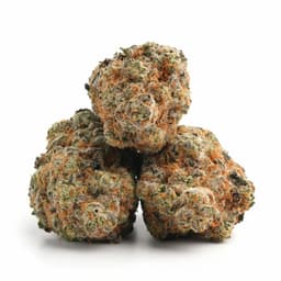 TK Stardawg Haze cannabis strain