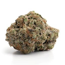 Tahoe Lemonade cannabis strain