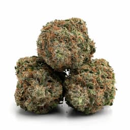 Tangie OG cannabis strain