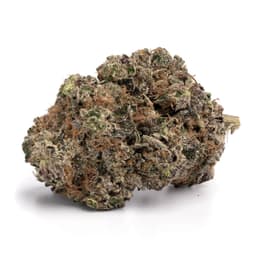 Tembo Kush cannabis strain