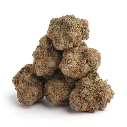 Thunder Wookie cannabis strain