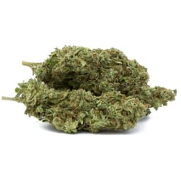 Thunderclap cannabis strain