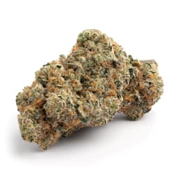 Toxic Cookies cannabis strain
