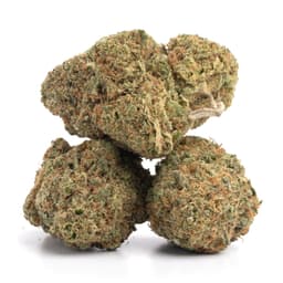 Tupac OG cannabis strain
