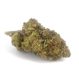 Ultra Blue Romulan cannabis strain