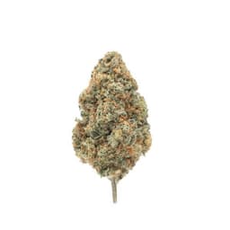 Unicorn Cookie cannabis strain