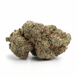 Vader Kush cannabis strain
