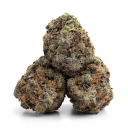 Valley Haze cannabis strain