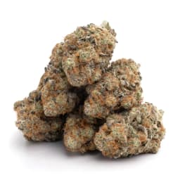 Vanilla Kush cannabis strain