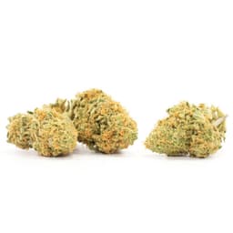 Velvet Haze cannabis strain