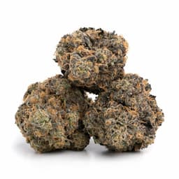 Very Cherry cannabis strain