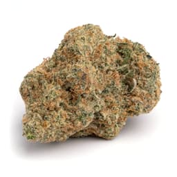Viking cannabis strain