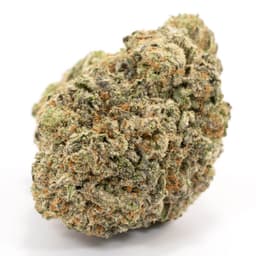 Vino OG cannabis strain