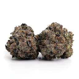 Violet Fog cannabis strain